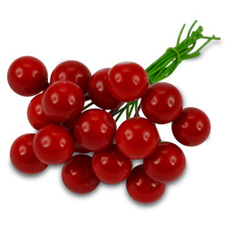 Zeige Details für MEYCO Beeren-Pick rot, ø 1cm Bild von MEYCO Beeren-Pick rot, ø 1cm