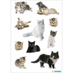 Zeige Details für HERMA Sticker Katzenfotos Bild von HERMA Sticker Katzenfotos