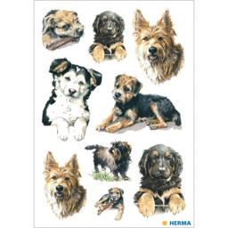 Zeige Details für HERMA Sticker Hunde Bild von HERMA Sticker Hunde