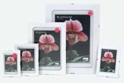 Zeige Details für Rahmenloser Bildhalter 15 x 20 cm Bild von Rahmenloser Bildhalter 15 x 20 cm