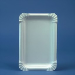Zeige Details für 250 Teller eckig 13 cm x 20 cm weiss
 Bild von 250 Teller eckig 13 cm x 20 cm weiss
