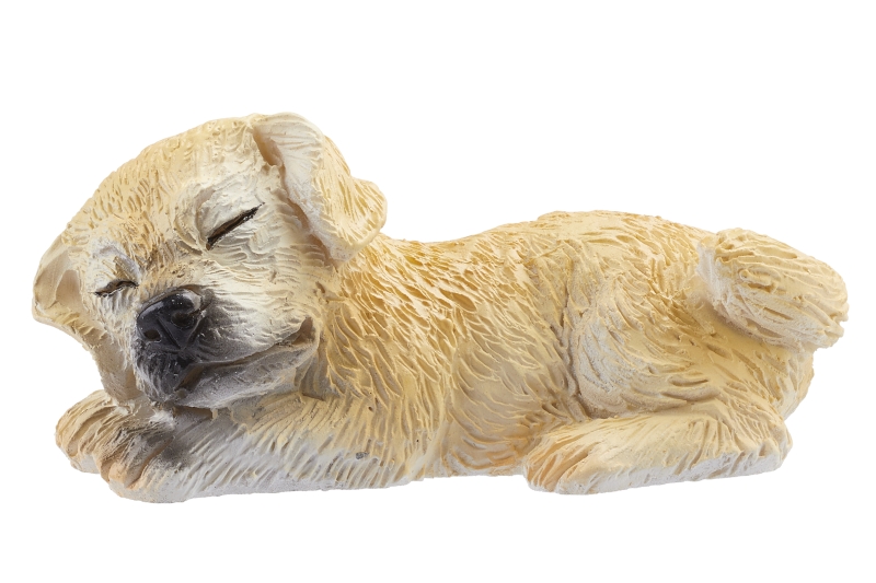 Bild von HOBBYFUN Miniatur Hund