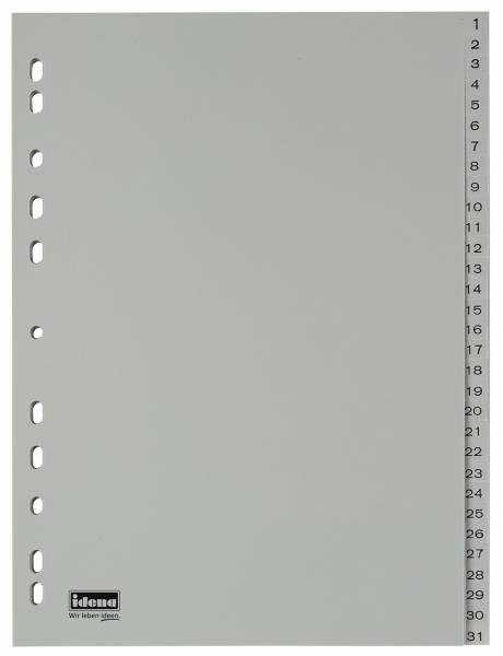 Bild von IDENA Register 1-31, A4